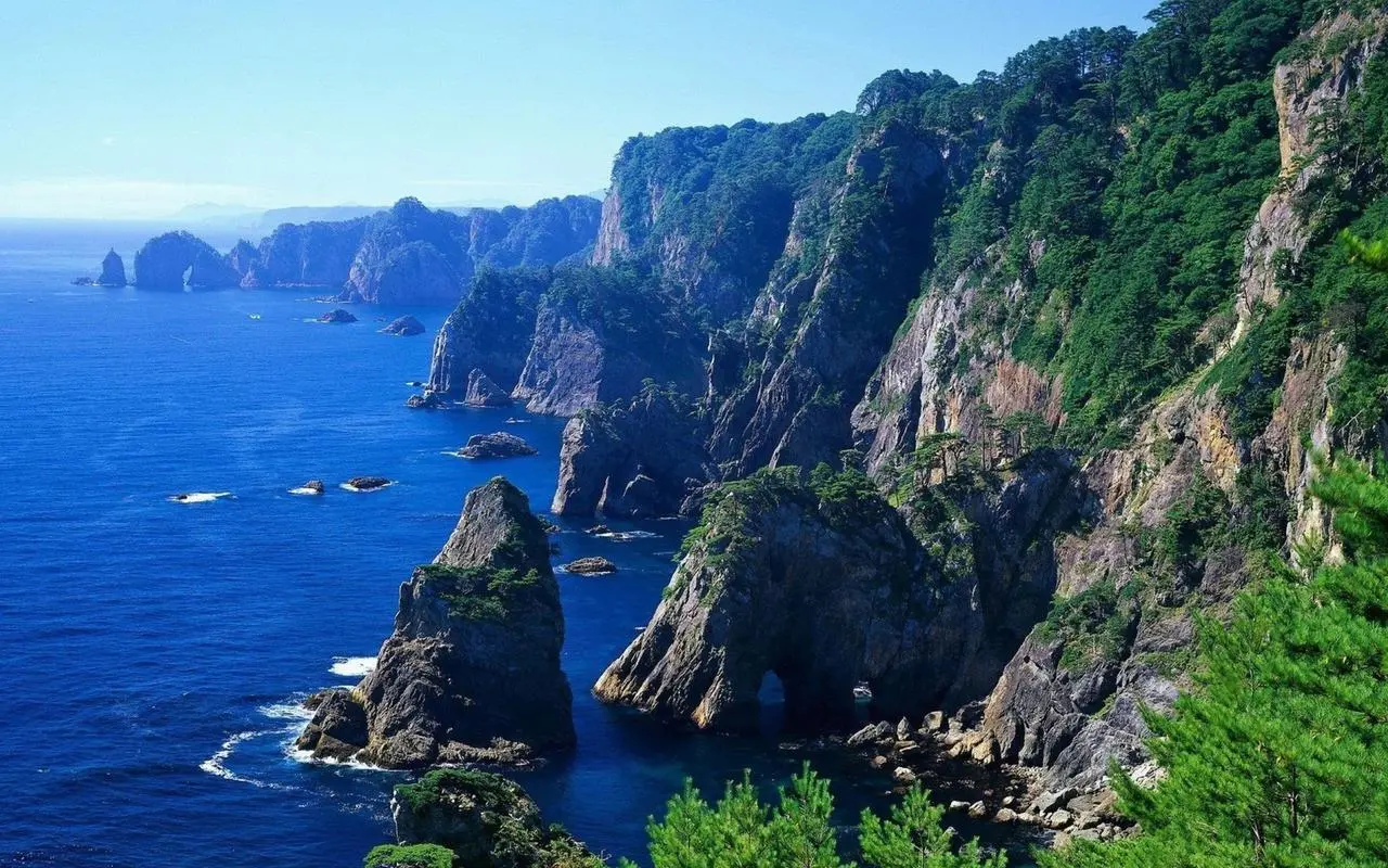 全自动智能智能